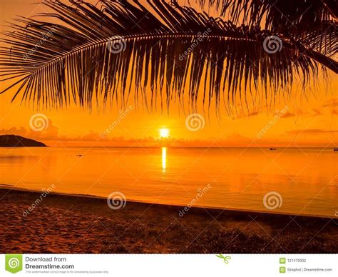 Beautiful Tropical Beach Sea And Ocean With Coconut Palm Tree At Stock