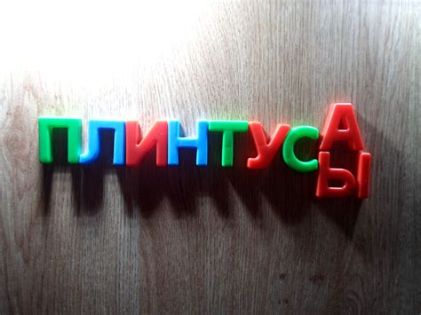 «Плинтуса» или «плинтусы»: как правильно написать?