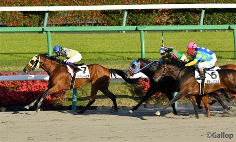 大野拓弥騎手が中山7rで落馬 大阪杯のペルシアンナイトは幸英明騎手に（スポーツ報知） Yahoo ニュース Yahoo ニュースほか中山12rまとめ【競馬 中山12rについても