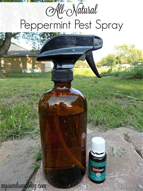 All Natural Peppermint Pest Spray My Own Home Pest Spray Garden