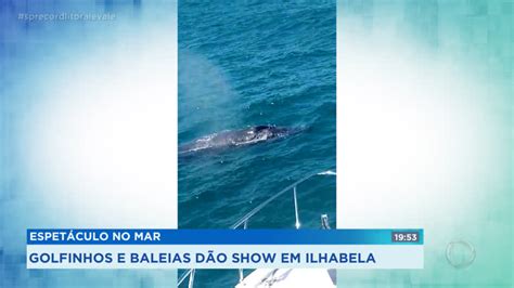 Baleias Aparecem No Litoral Norte Record TV Litoral E Vale R7 SP Record