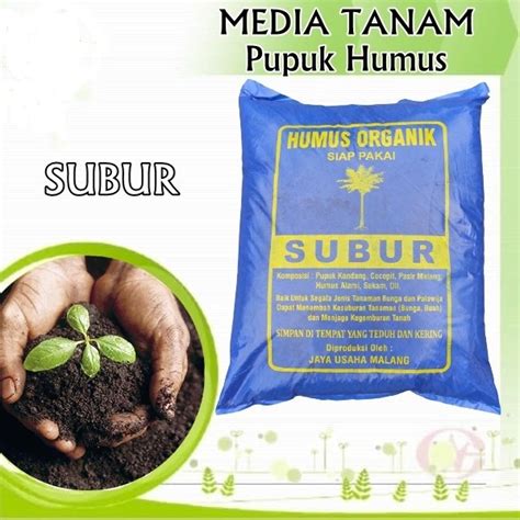 Jual Pupuk Humus Media Tanam Subur Siap Pakai Cocopeat Arang Sekam Kg