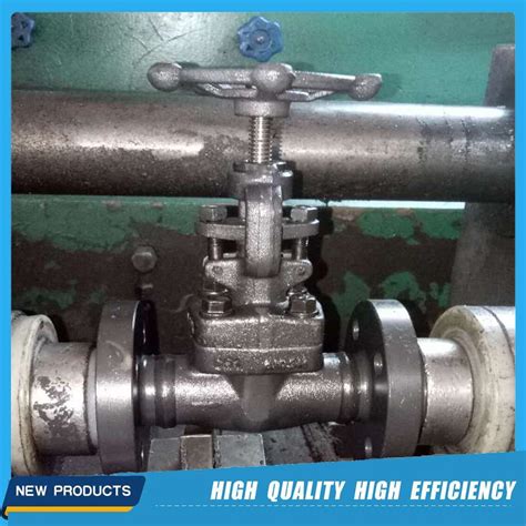 Forged Steel A F F Lf Flange Gate Valve A Gate Valve And