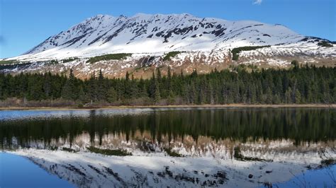 Cabins - Gwin's Lodge - Restaurant in Cooper Landing, AK