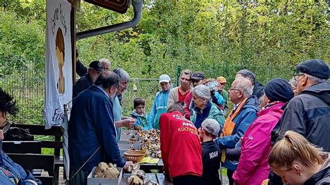 Wissen Bund Naturschutz Ebern Informiert Ber Eigenschaften Von Pilzen