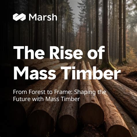 The Rise Of Mass Timber Ep 3 How Do Construction Insurers View Mass Timber Projects Listen Notes