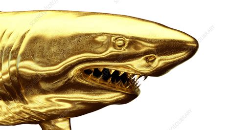 Golden shark, illustration - Stock Image - F038/3312 - Science Photo Library