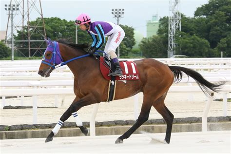 【園田・六甲盃】ラッキードリームが重賞12勝目 2024年6月7日掲載 ライブドアニュース