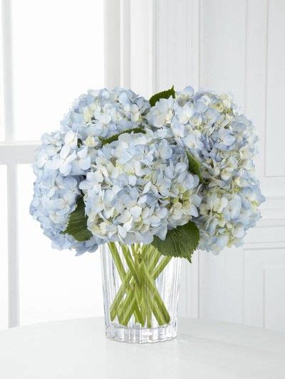 20 Hydrangea Arrangement In Vase Homyhomee