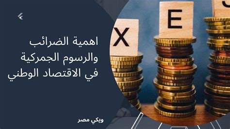 اهمية الضرائب والرسوم الجمركية في الاقتصاد الوطني ويكي مصر