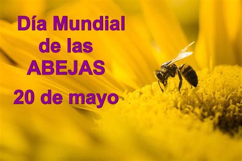 DÍa Mundial De Las Abejas 20 De Mayo Ceip Tetuán Linares