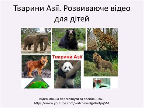 Тварини Азії(знайомство з цікавими істотами)