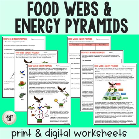 Food Chains And Food Webs Worksheet With Answers Laney Lee