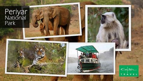 The Periyar National Park is an amazing wildlife park in Kerala ...