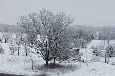 Missouri Winter Missouri, Snow, Winter, Photography, Outdoor, Winter Time, Outdoors, Photograph ...