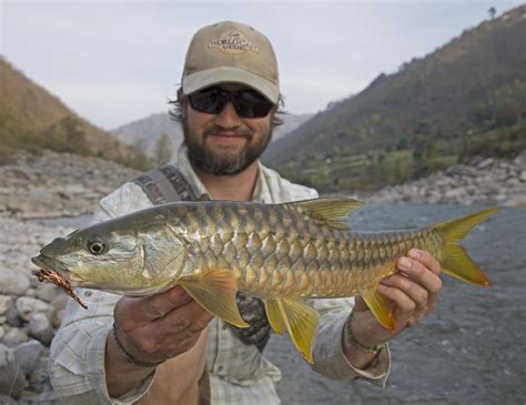 Himalayan Outback Golden Mahseer Adventure