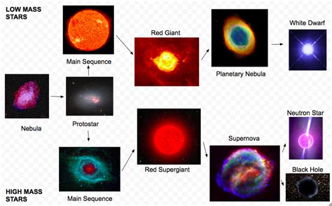 Life Cycle of Stars Diagram | Quizlet