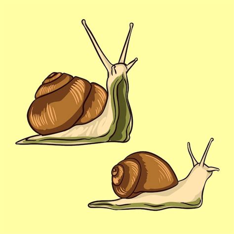 Premium Vector Cartoon Slug Snail Vector Illustration