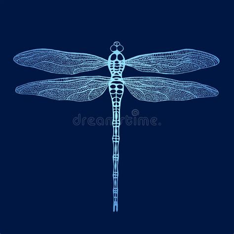 Lib Lula Lib Lula Del Vector Damselfly Dibujado Mano Ilustraci N Del