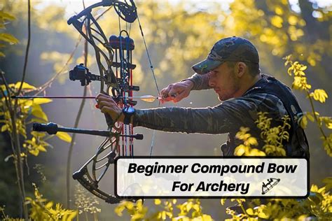 5 Best Beginner Compound Bow for Hunting | Scope Magnification