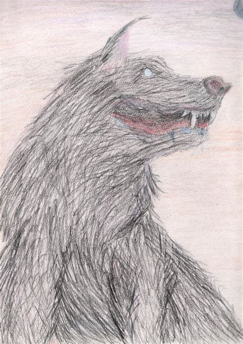 Sirius Black: Dog Form by leesie-love on DeviantArt