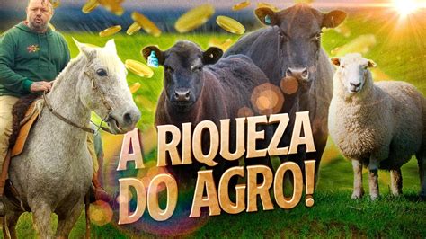 As Riquezas Do Agro No Sul Do Pais Richard Rasmussen Youtube