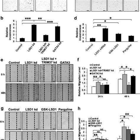 LSD1 Suppresses Invasion Migration Of Luminal Breast Cancer Cells A