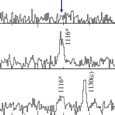 The γ ray spectra illustrating the transitions in coincidence with the