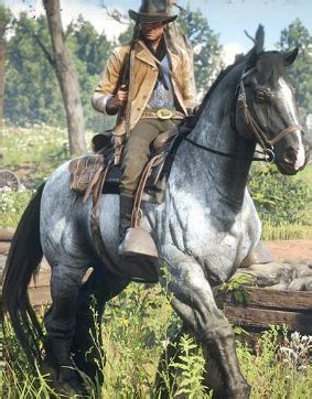 War Horse (RDR II) | Red Dead Wiki | FANDOM powered by Wikia