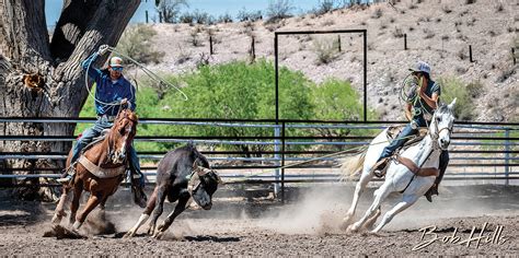 Team Roping