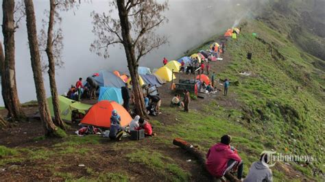 Peta Jalur Pendakian Gunung Rinjani Penting Disimak Sebelum Mendaki