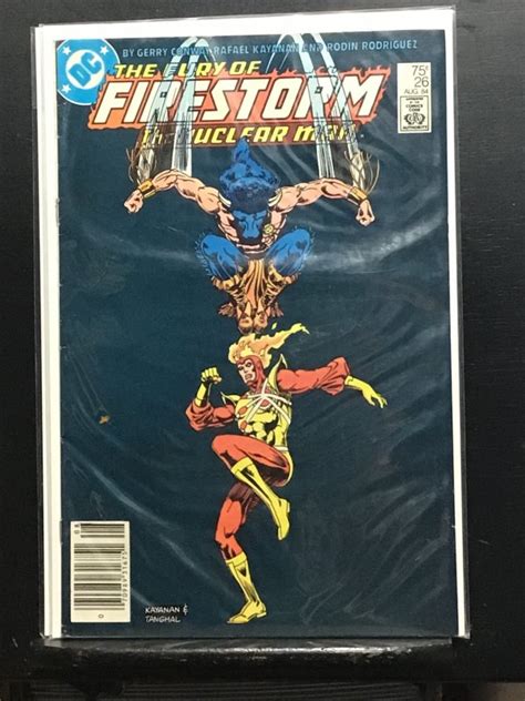 The Fury Of Firestorm Comic Books Copper Age Dc Comics