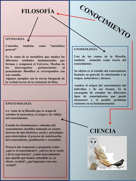 Cuadro Comparativo sobre Ciencia y Filosofía pdf