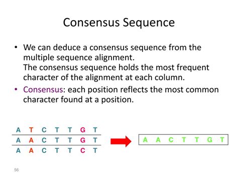 Ppt Multiple Sequence Alignment Powerpoint Presentation Free