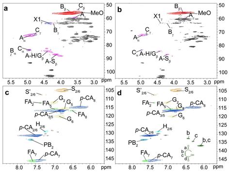 The 1 H 13 C Hsqc Nmr Spectra Of Unmodified Ul A C And Maleated Download Scientific