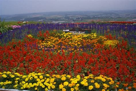 FlowerLand in Furano, Hokkaido, Japan