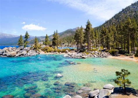 Lake Tahoe Clear Water - Best Spots To Go Snorkeling In Lake Tahoe