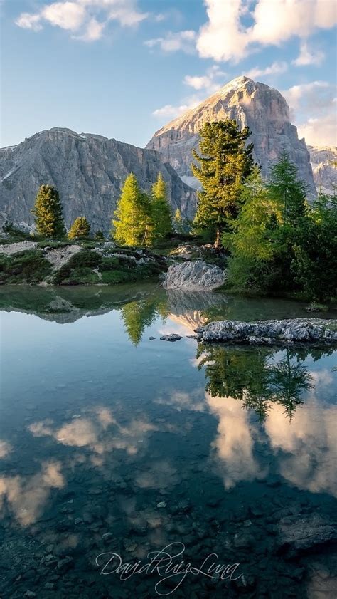 Drzewa Nad Jeziorem Lago Limides Tapeta Na Telefon