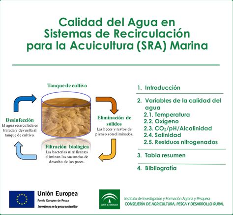 Pdf Calidad Del Agua En Sistemas De Recirculación Para La Acuicultura