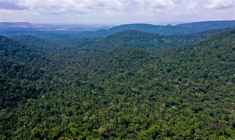 Unesco E Amazonas Lan Am Plano De A O Para Amaz Nia Central Brasil