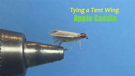 Tying A Tent Wing Apple Caddis Youtube