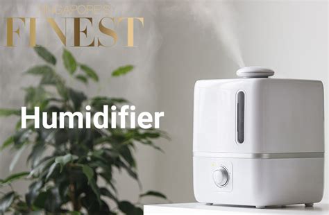 5 Best Humidifiers In Singapore [2024]