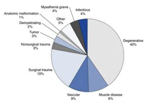 B6.1.1: Causes & Characteristics of Dysarthria