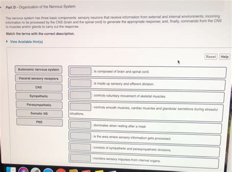 Solved Part D- Organization of the Nervous System The | Chegg.com 