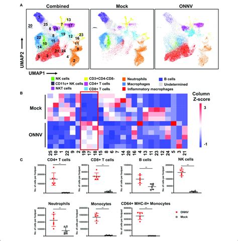 High Dimensional Analysis Of Flow Cytometry Data Reveals Differences