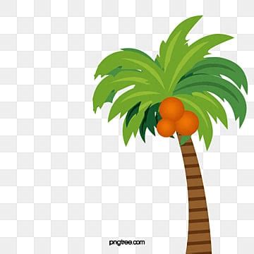 Coconut Tree Cartoon Png Vector Psd And Clipart With Transparent