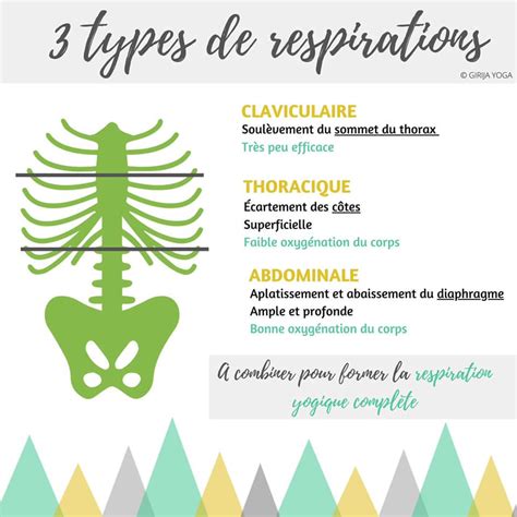 La Respiration Yogique Compl Te