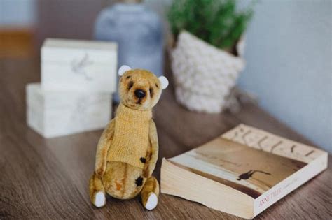 Honey teddy bear by Alena Ihnatenko | Tedsby