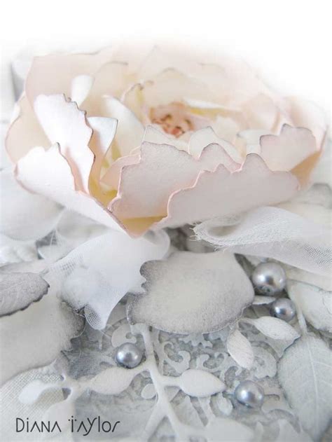 Pin By Oata On Scrapbooking Peach Roses Velvet Moth