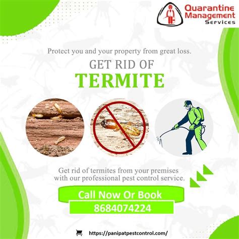 Termites Control Service in 2022 | Pest control, Termite control, Termites